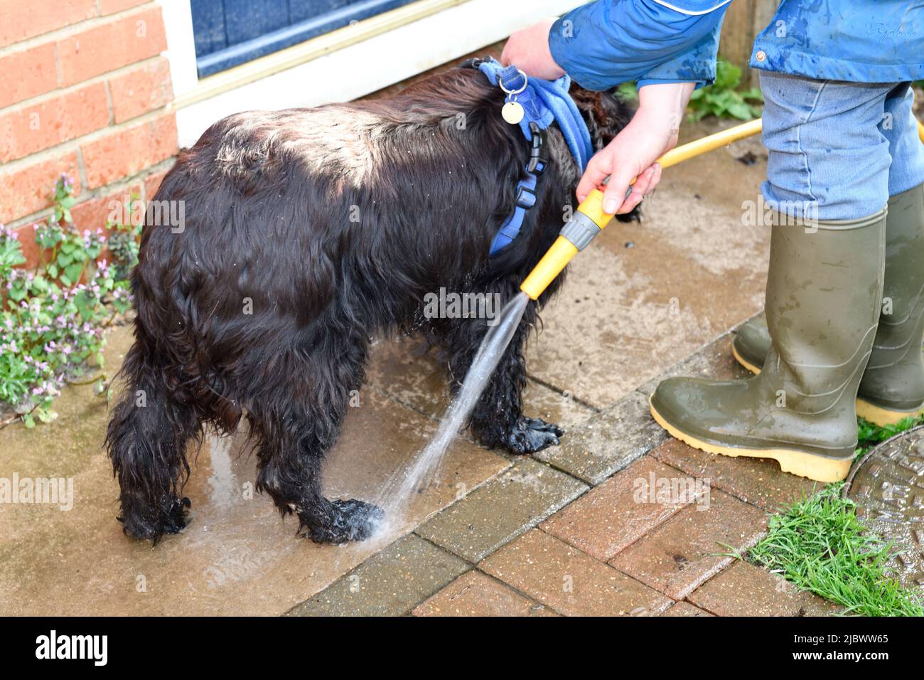 Wash hi res hires stock photography and images Alamy
