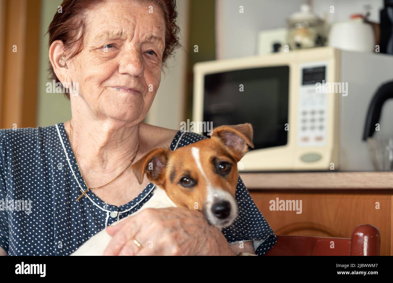 Elderly senior woman posing with her Jack Russell terrier dog in