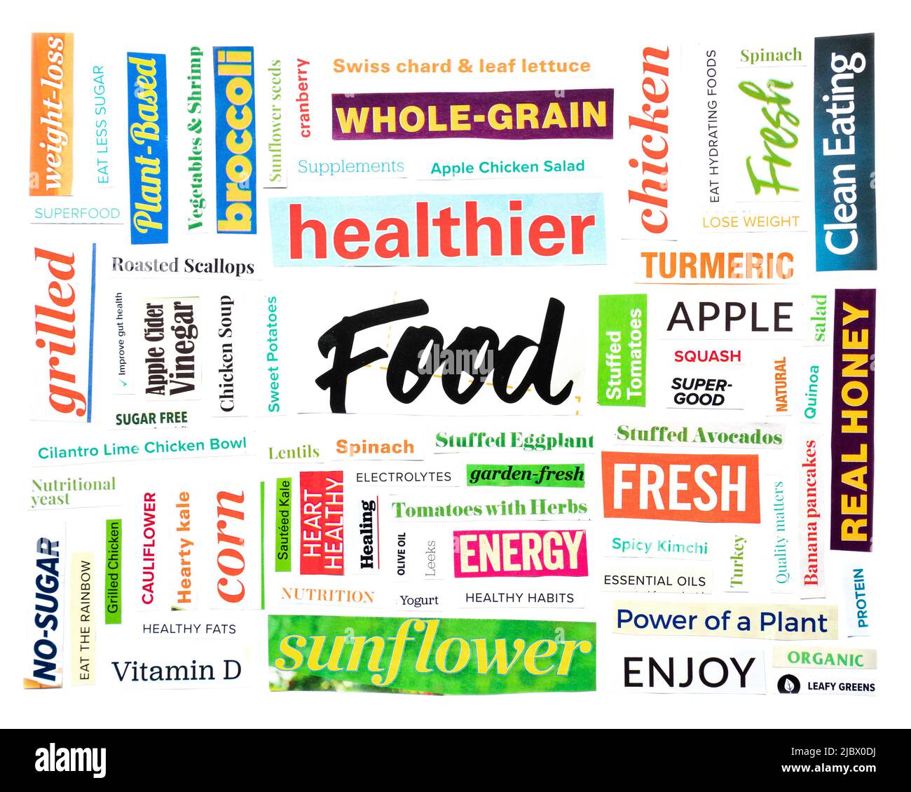 Healthy Food magazine cut out word cloud concept Stock Photo