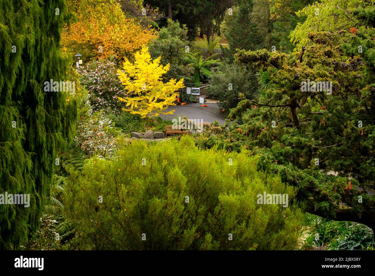 Around Hobart Royal Tasmanian Botanical Gardens Stock Photo Alamy