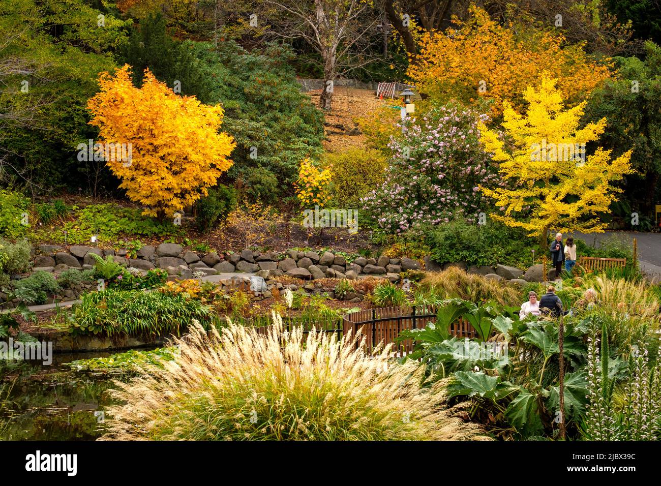 Around Hobart Royal Tasmanian Botanical Gardens Stock Photo Alamy