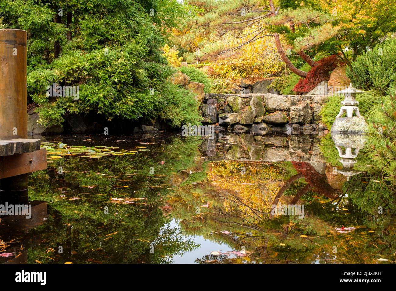 Around Hobart Royal Tasmanian Botanical Gardens, Japanese Garden