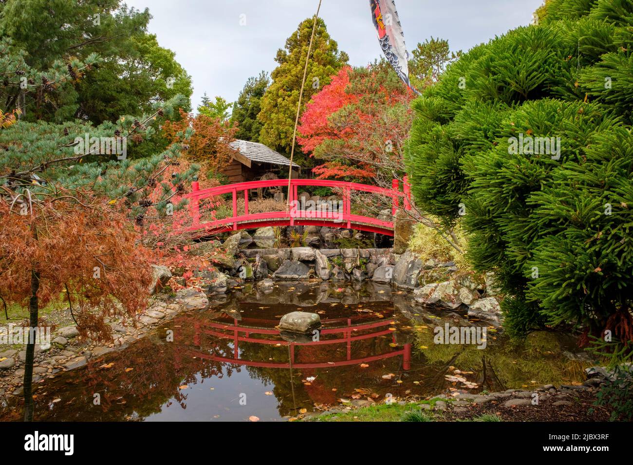 Around Hobart - Royal Tasmanian Botanical Gardens, Japanese Garden Stock Photo