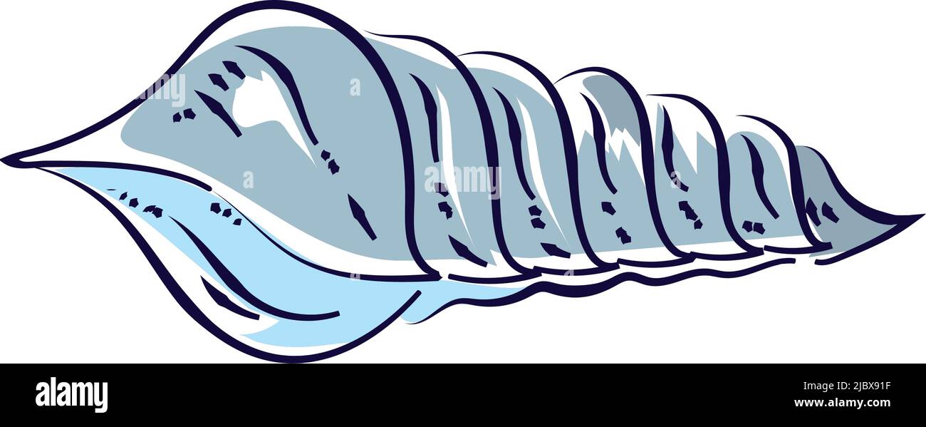 marine shell snail Stock Vector Image & Art - Alamy