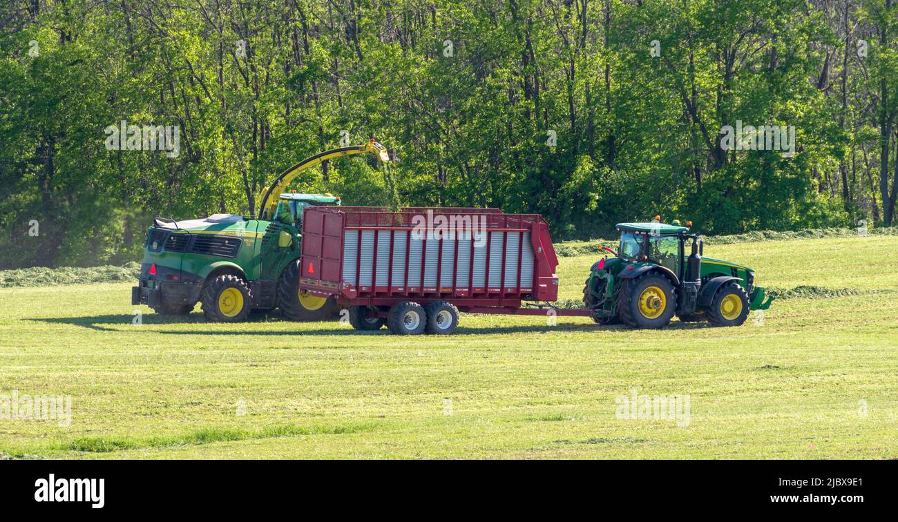 John Deere 9600i Self-Propelled Forage Harvester combine loading harvested hay silage in trailer towed by John Deere tractor. Stock Photo