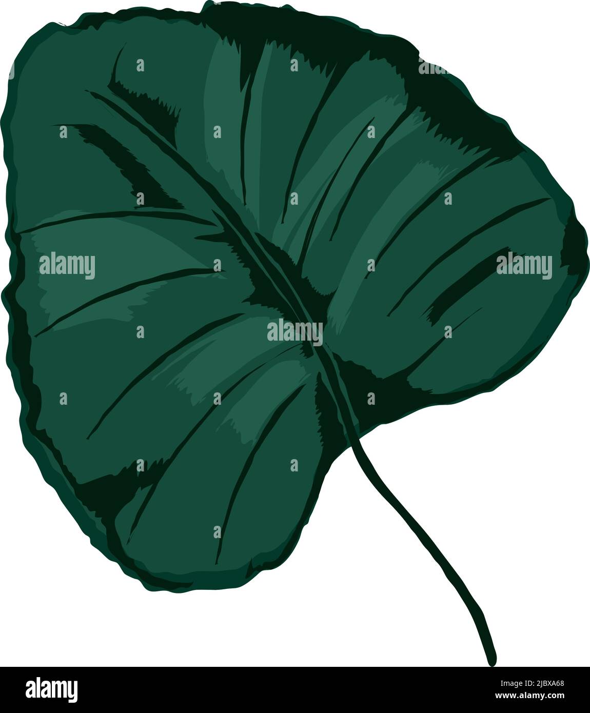 exotic leaf icon Stock Vector Image & Art - Alamy