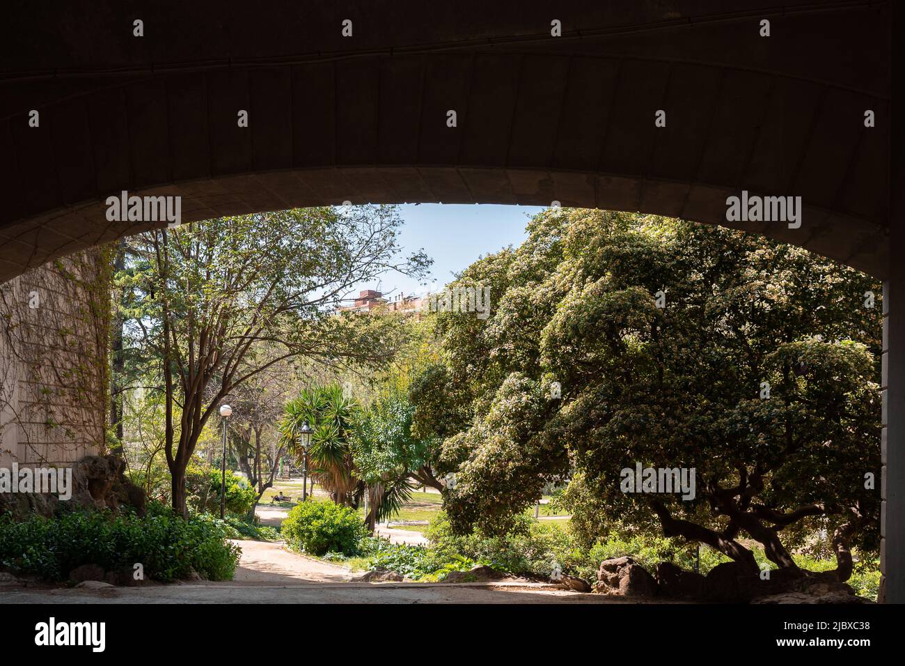 View of a park with bushes and green trees under a tunnel Stock Photo ...