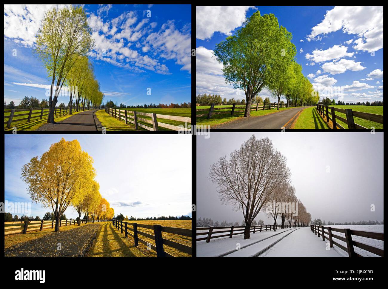 The four seasons, spring, summer, autumn, and winter, on a country lane in Bend, Oregon Stock Photo
