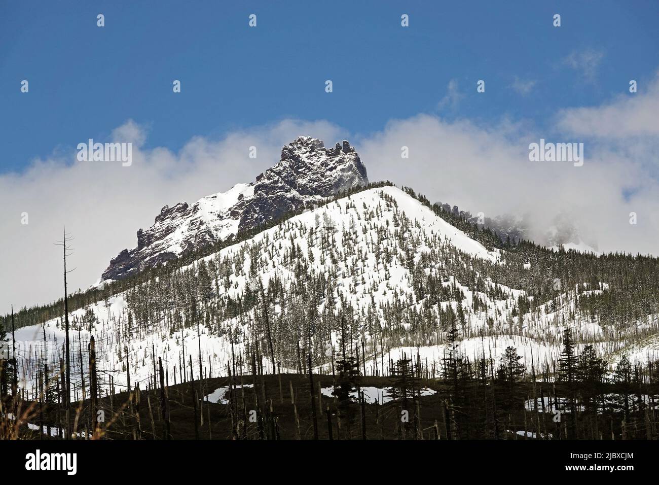 Three Fingered Jack, an extinct volcano in the central Oregon Cascades, west of Bend, Oregon Stock Photo