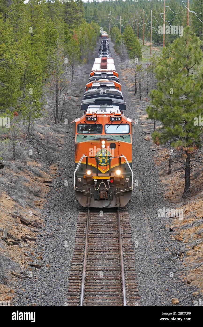 A Burlington Northern Santa Fe locomotive pulls a 100 car freight train southbound toward California, from Bend, Oregon through the Deschutes National Forest. Stock Photo