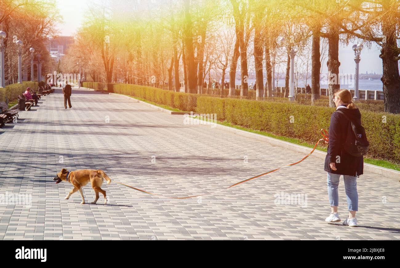 Dog walking. Walk of man and dog in the park. Walking in the park