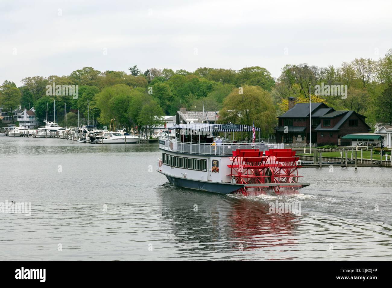 Paddle boat, Star of Saugatuck, cruising down Kalamazoo river, Michigan, USA, by James D Coppinger/Dembinsky Photo Assoc Stock Photo