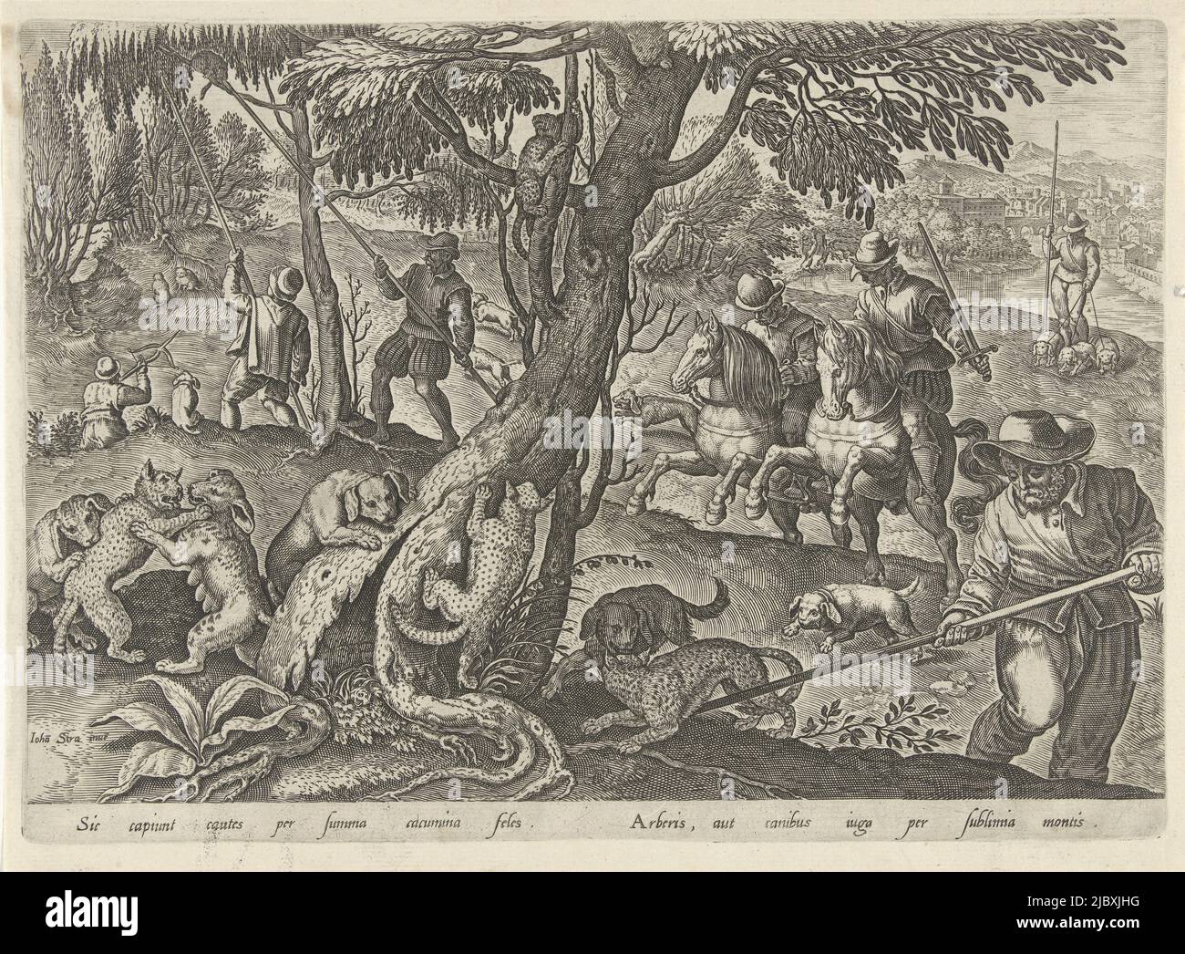 Hunters catch wild cats by knocking them out of trees with a long stick. Then the beasts fall prey to hunting dogs. The print has a Latin caption and is part of a 43-part series on hunting, Hunting Wild Cats Hunting Scenes (series title) In quibus omne genus venationis, aucupij, piscatusque (series title), print maker: Philips Galle, Jan van der Straet, (mentioned on object), publisher: Philips Galle, print maker: Antwerp, Florence, publisher: Antwerp, 1578, paper, engraving, w 301 mm × h 215 mm Stock Photo