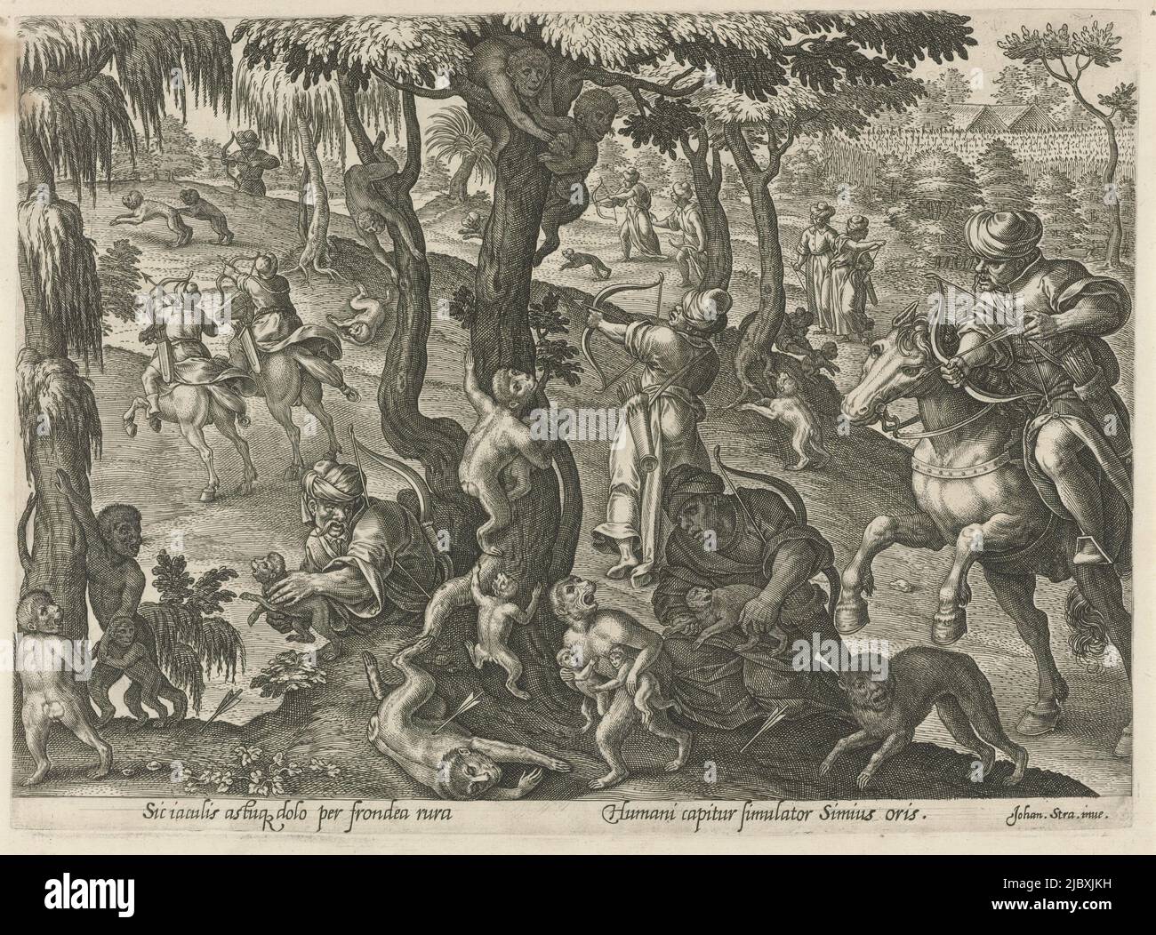 Horsemen and hunters on foot shooting with bow and arrow at monkeys in the trees. In the foreground a monkey mother with two cubs. With 2 lines of caption in Latin. No. 22 from series of 43 hunts., Monkey Hunting Scenes (series title) In quibus omne genus venationis, aucupij, piscatusque (series title), print maker: Philips Galle, Jan van der Straet, (mentioned on object), publisher: Philips Galle, print maker: Antwerp, Florence, publisher: Antwerp, 1578, paper, engraving, w 283 mm × h 205 mm Stock Photo