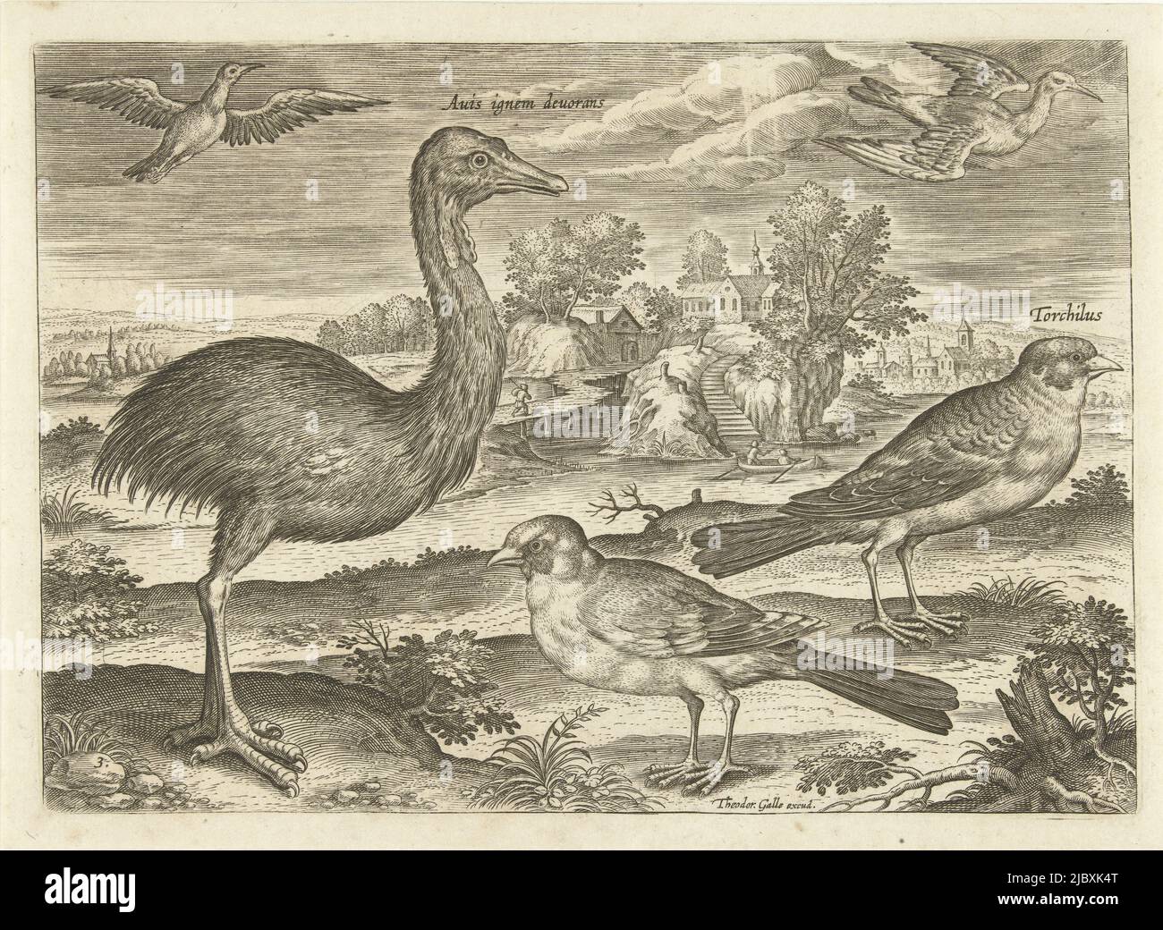 A nandu, several finches and two other birds in a landscape with a pond. The print is part of a series with birds, Single birds in a landscape Birds (series title) Avivm vivae (series title), print maker: Adriaen Collaert, (mentioned on object), Adriaen Collaert, publisher: Theodoor Galle, (mentioned on object), Antwerp, 1598 - 1618, paper, engraving, h 136 mm × w 191 mm Stock Photo
