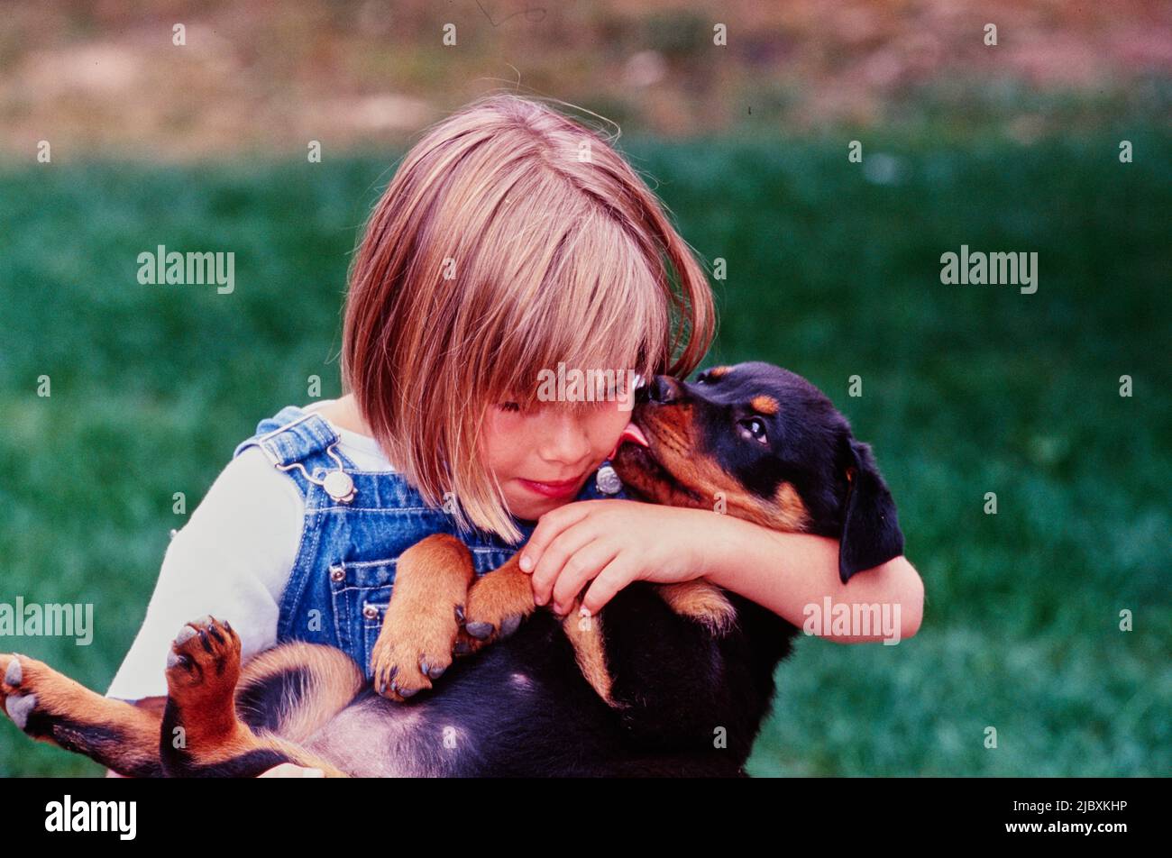 A young girl cuddling a rottweiler puppy dog Stock Photo