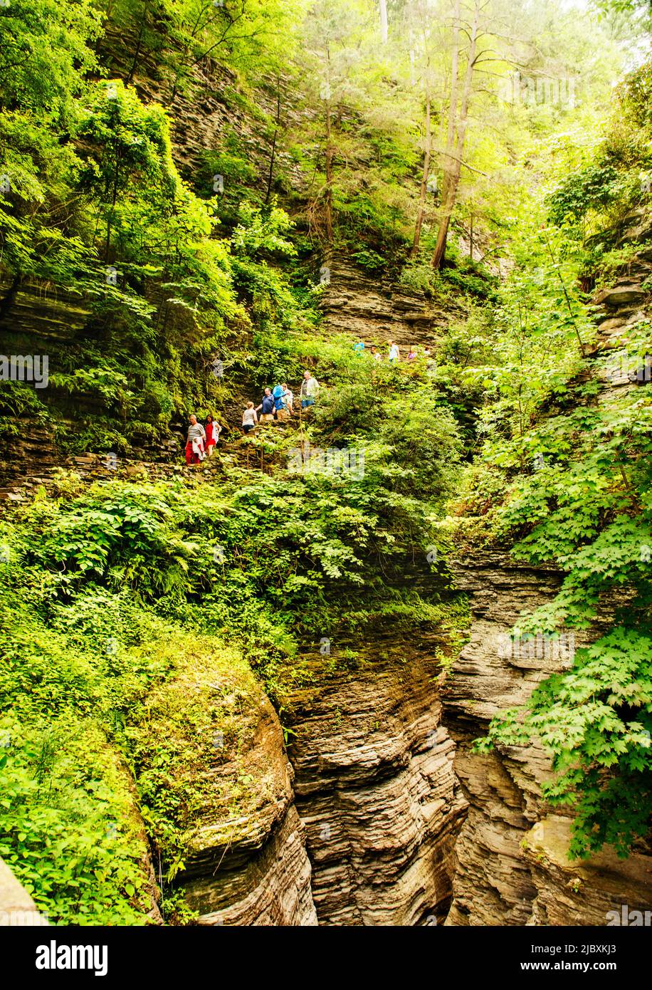 Watkins Glen state park, New York State, United States Stock Photo Alamy