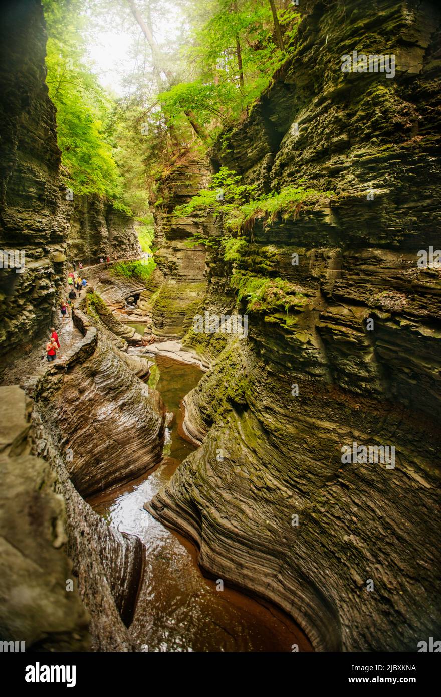 Watkins Glen state park, New York State, United States Stock Photo Alamy