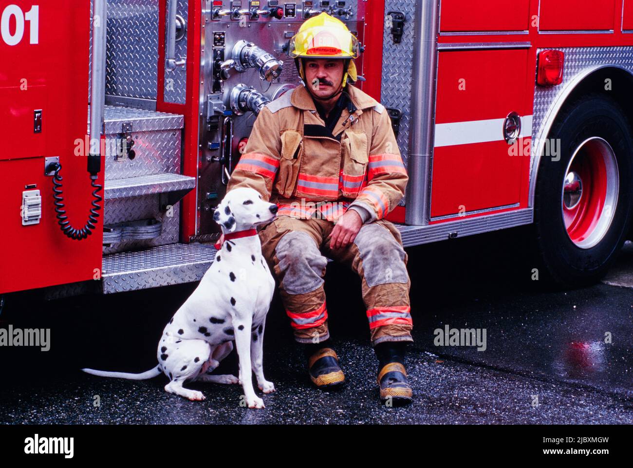 Why Are Dalmatians Used As Fire Dogs