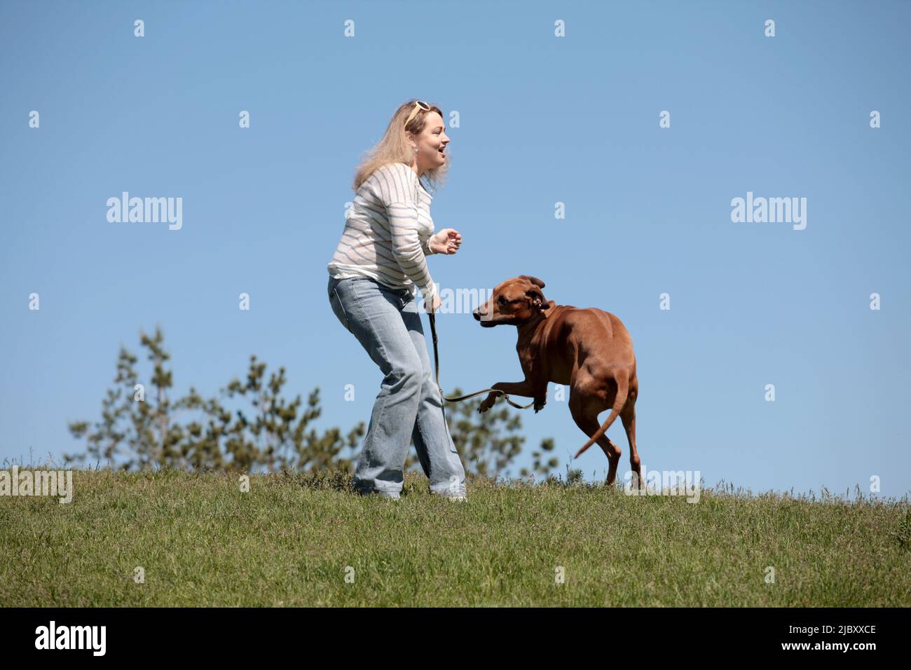 Beautiful young woman plays hi-res stock photography and images - Alamy