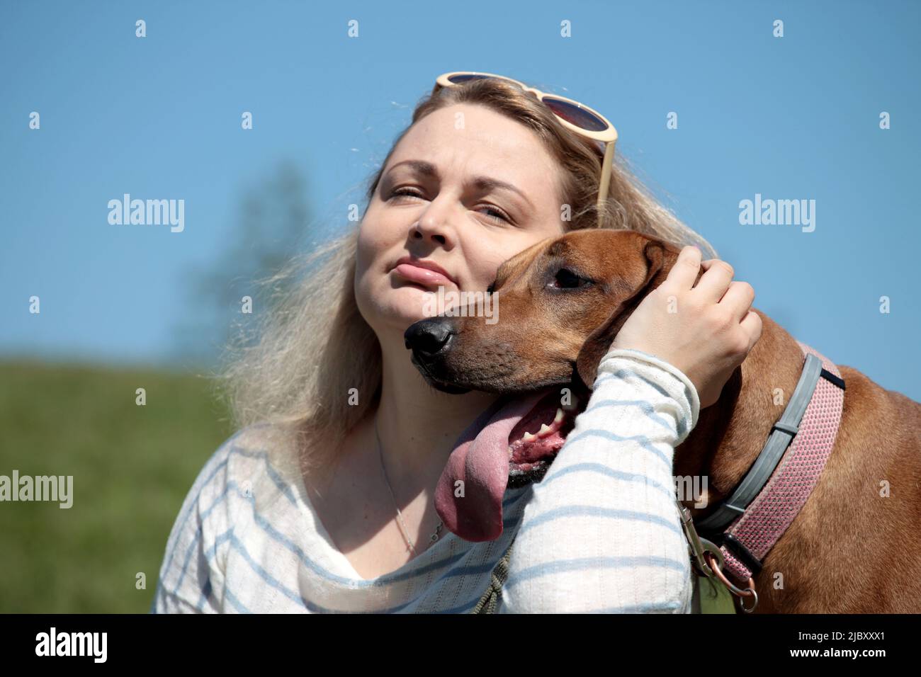 Beautiful woman with dog rhodesian ridgeback hound outdoors on a field ...