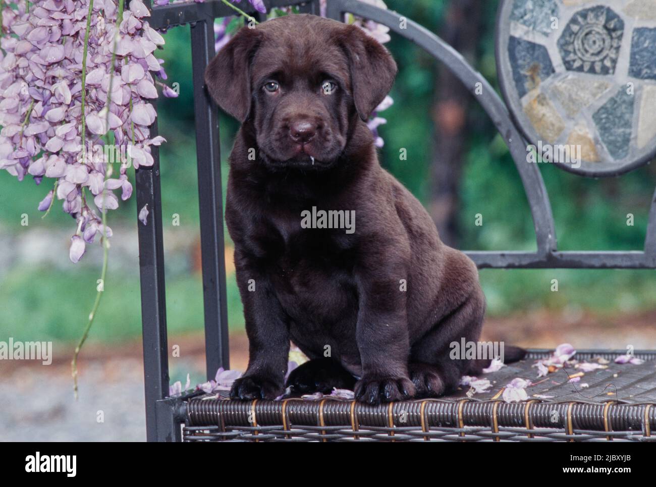 Lab bench hires stock photography and images Alamy
