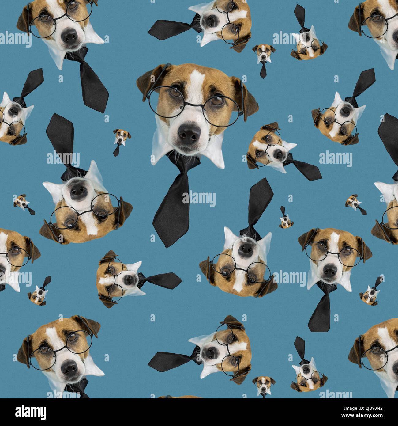 Muzzle of a Jack Russell Terrier dog with glasses and a tie on a blue