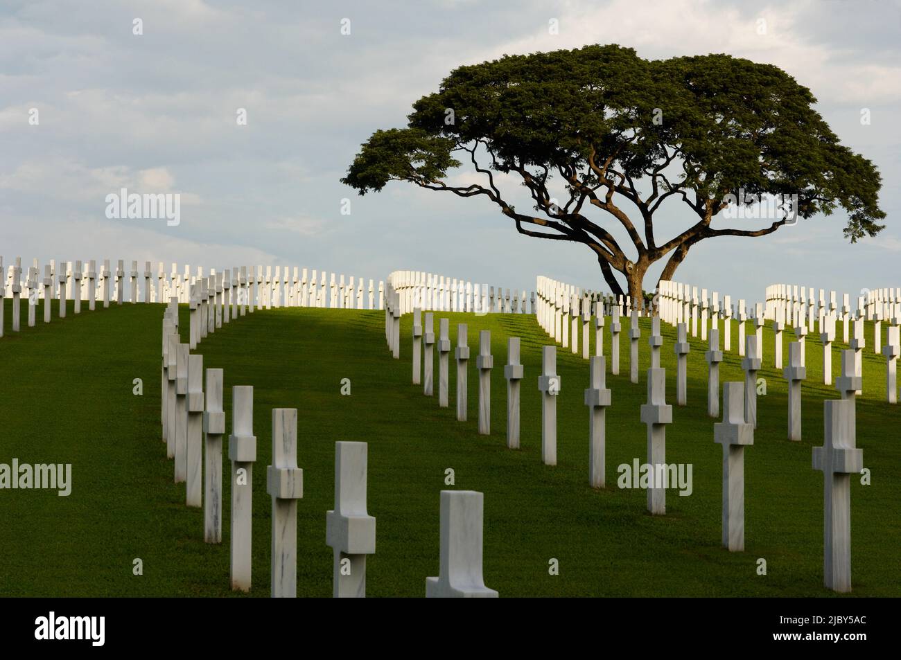 Rows of marble crosses in Manila cemetary representing American ...