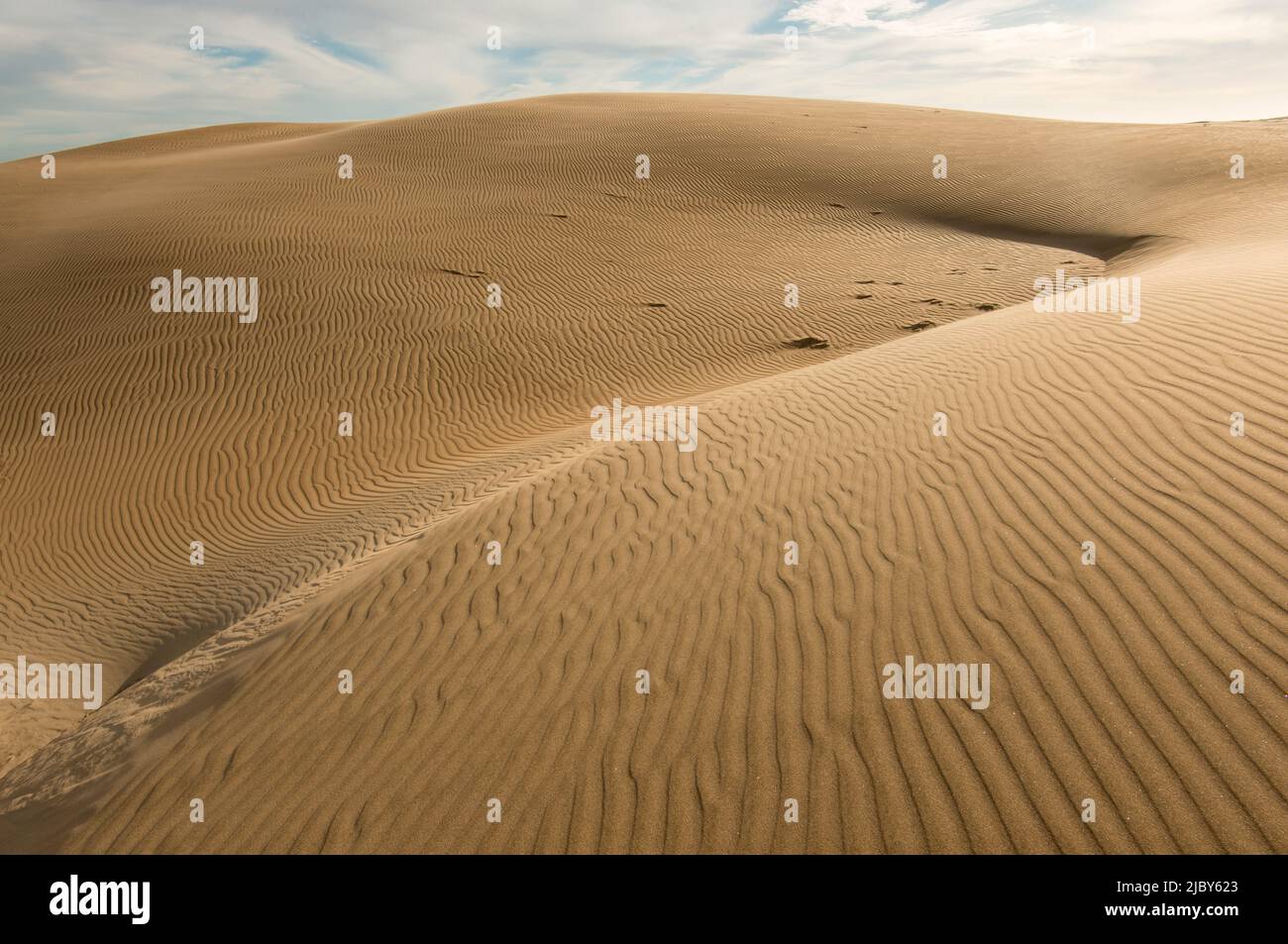 Baja california sur desert hi-res stock photography and images - Alamy