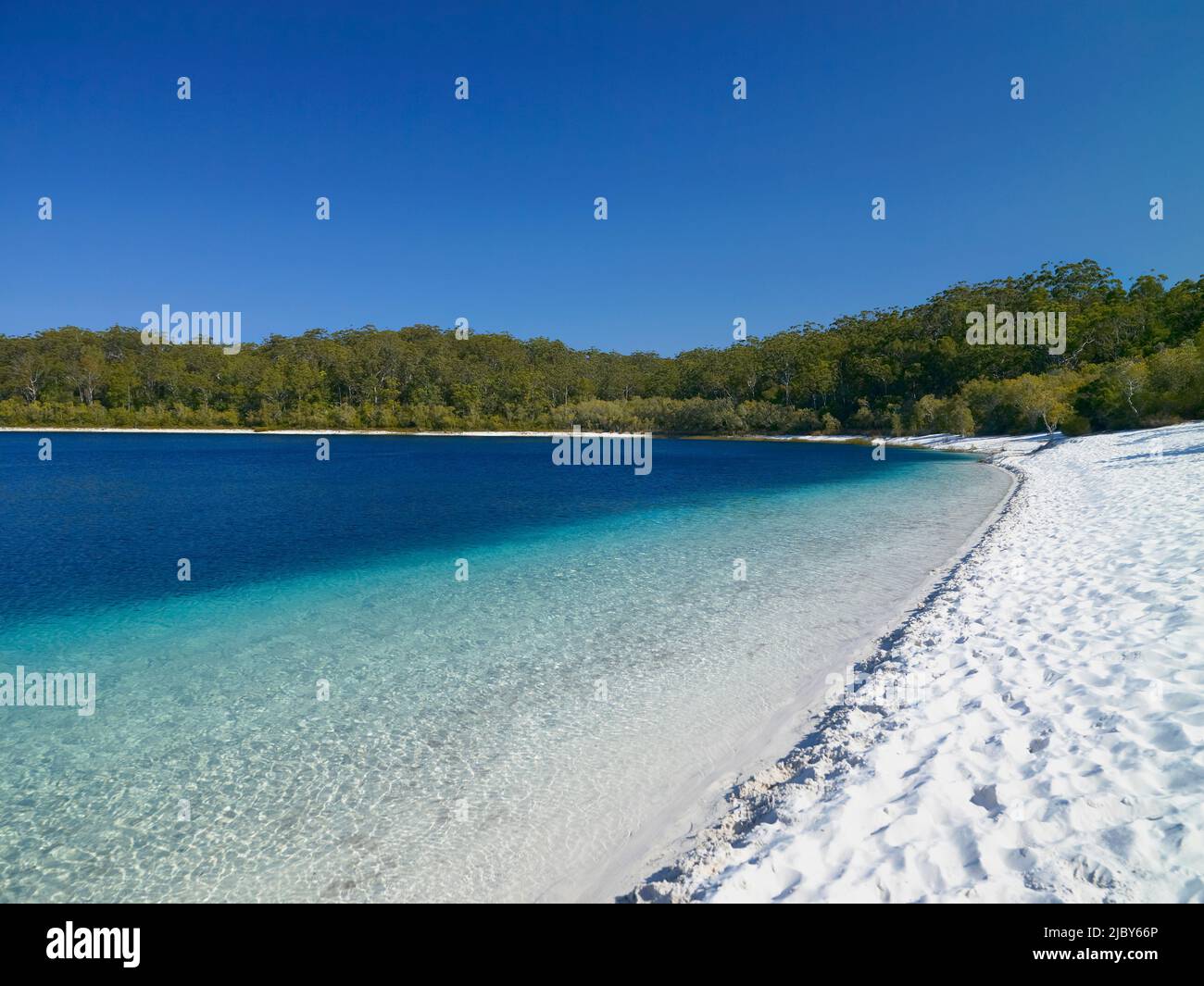 Pristine Lake Mckenzie Fraser Island, Queensland, Australia Stock