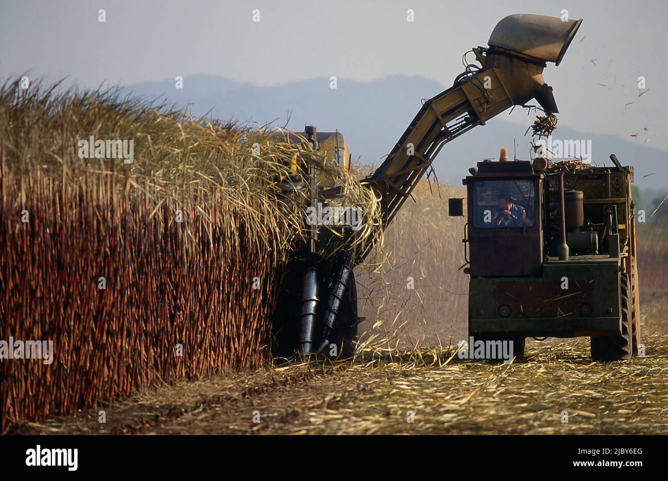 Big machines harvesting sugacane Stock Photo