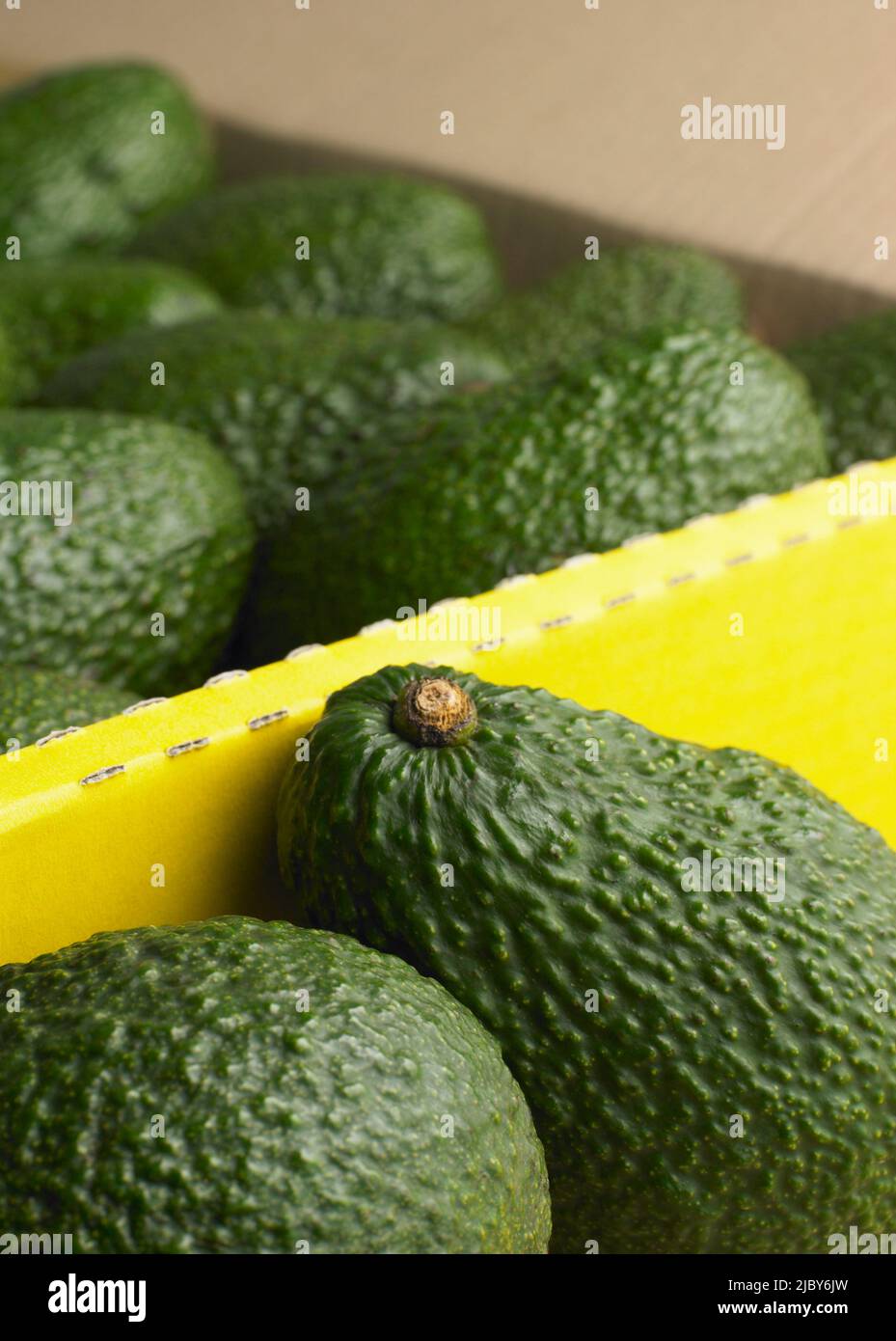 Group of fresh avocados in a green mesh bag isolated on white. One