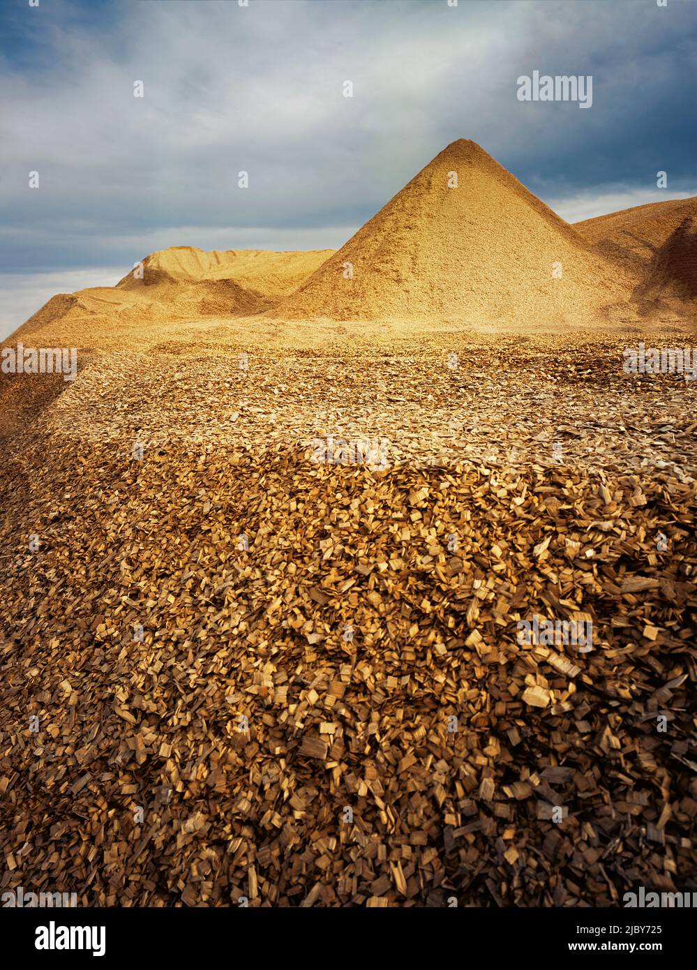 Pile of woodchips against cloudy sky ready for export Stock Photo