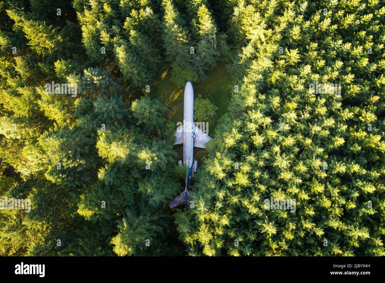 Aerial view of plane in the woods Stock Photo