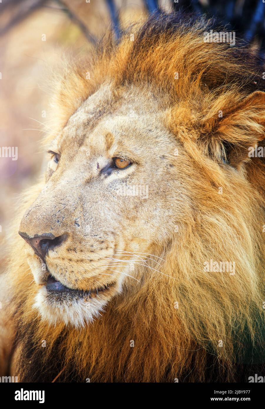 South africa capetown part hi-res stock photography and images - Alamy