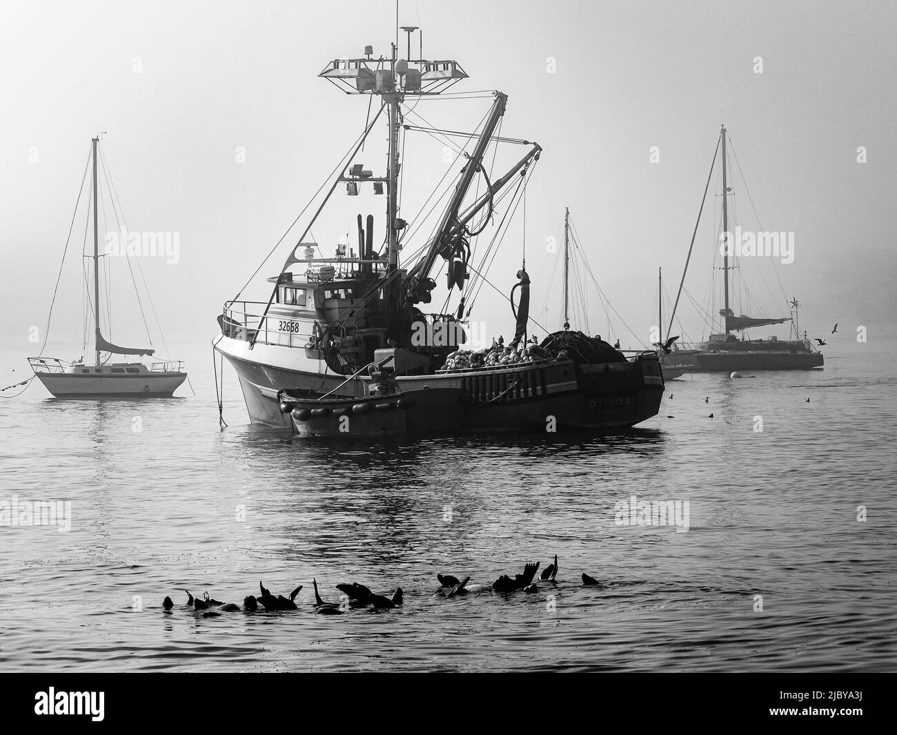 Black and White, Not a true Refuge, Squid fishing boats in Monterey Bay, Monterey Bay National Marine Refuge, California Stock Photo