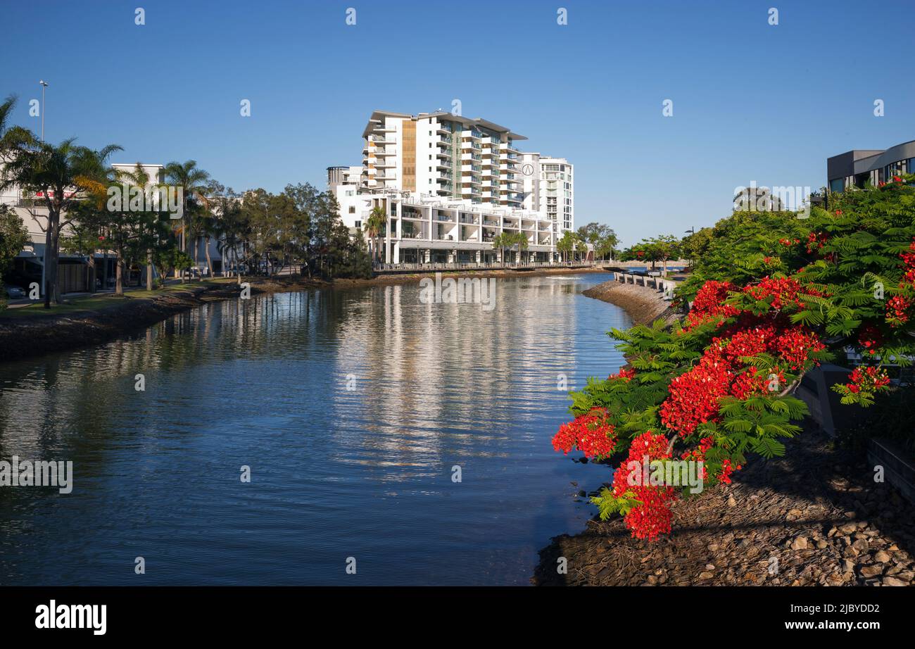 Flowering Flame Trees and Palm Trees lining the bank of Cornmeal Creek in Maroochydore on the Sunshine Coast, Queensland, Australia Stock Photo