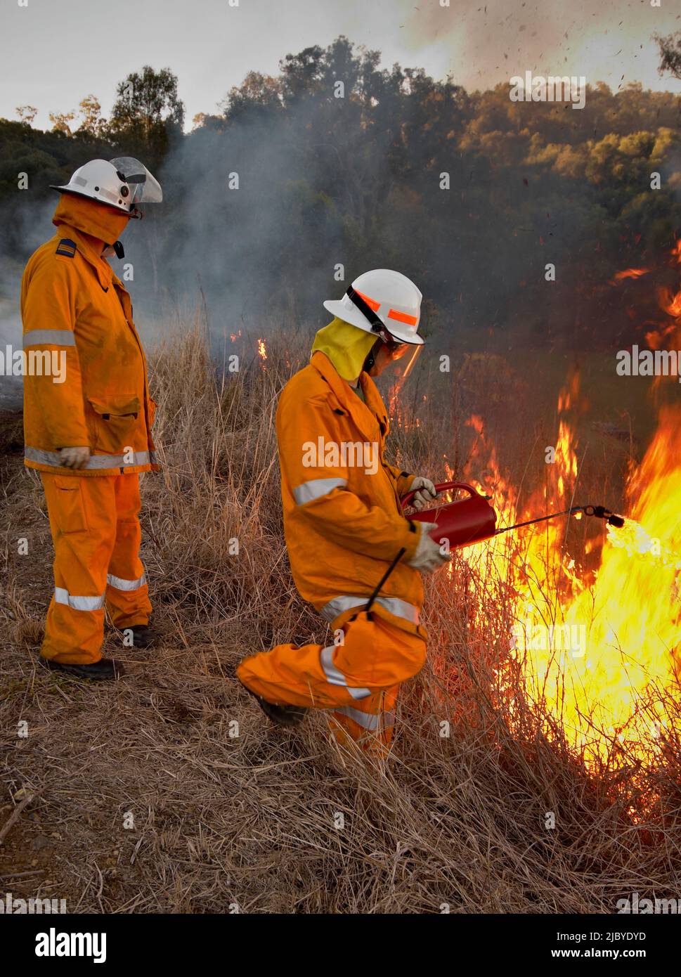 Firemen in protective clothing back burning forest floor Stock Photo