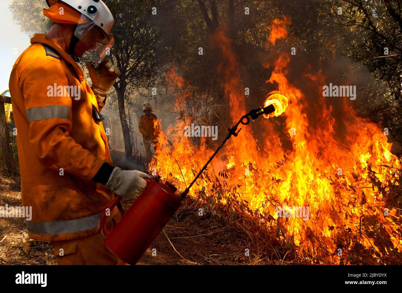 Fireman in protective clothing back burning forest floor Stock Photo