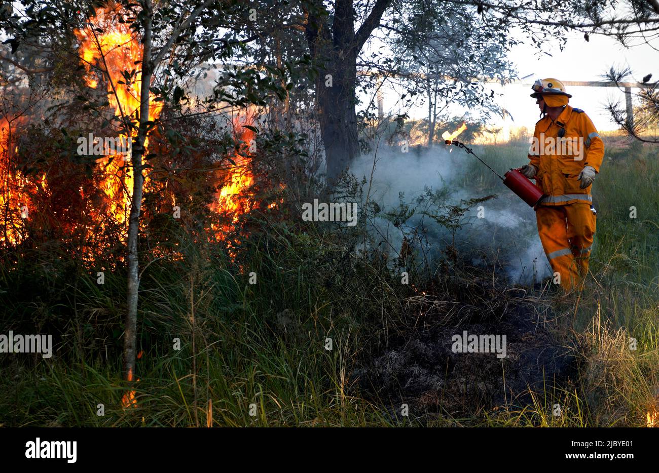 Fireman in protective clothing back burning forest floor Stock Photo