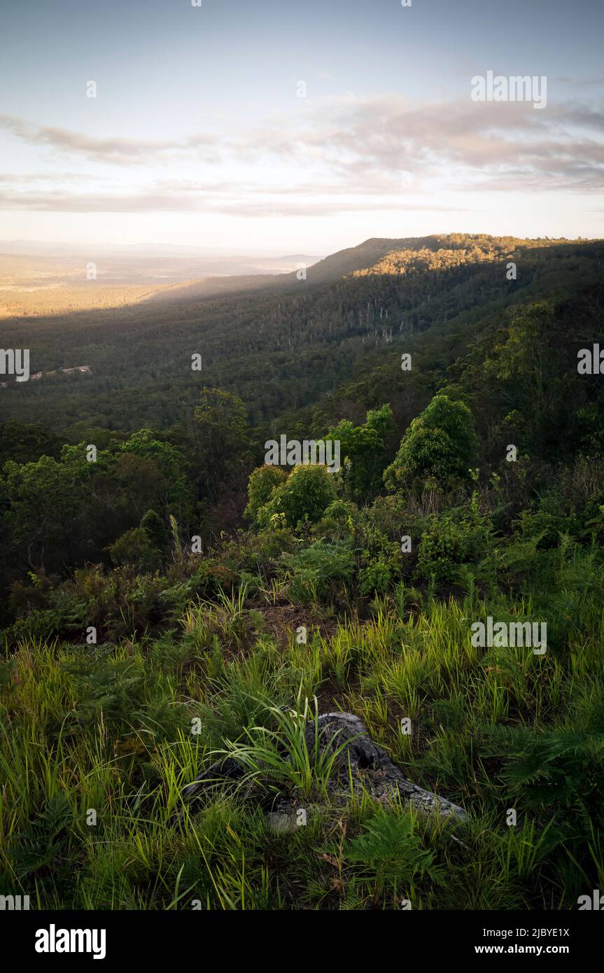 Side of mountain range covered in native flora and trees with sun kissing background in late afternoon Stock Photo