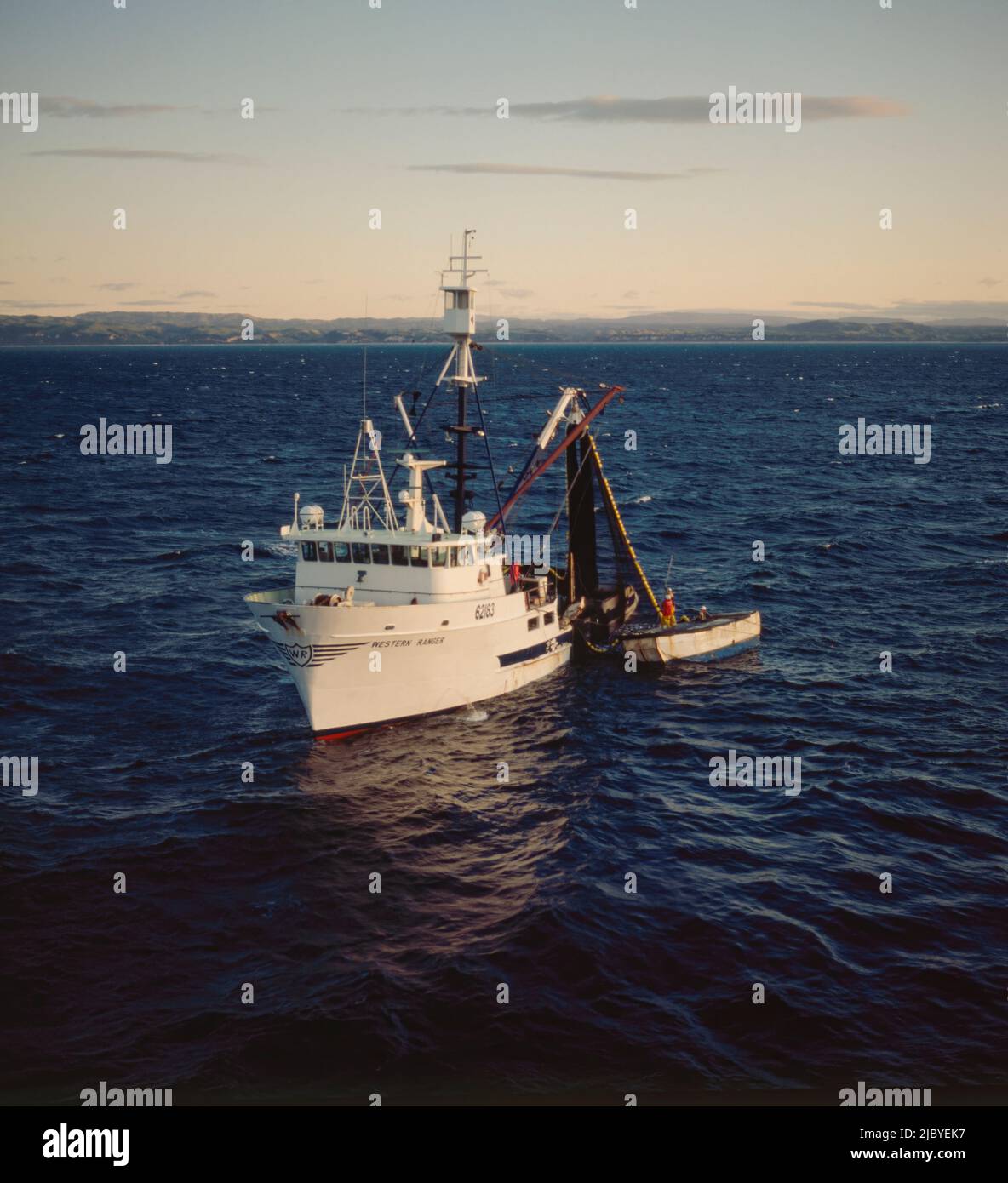 Fishing Trawler harvesting fish Stock Photo Alamy