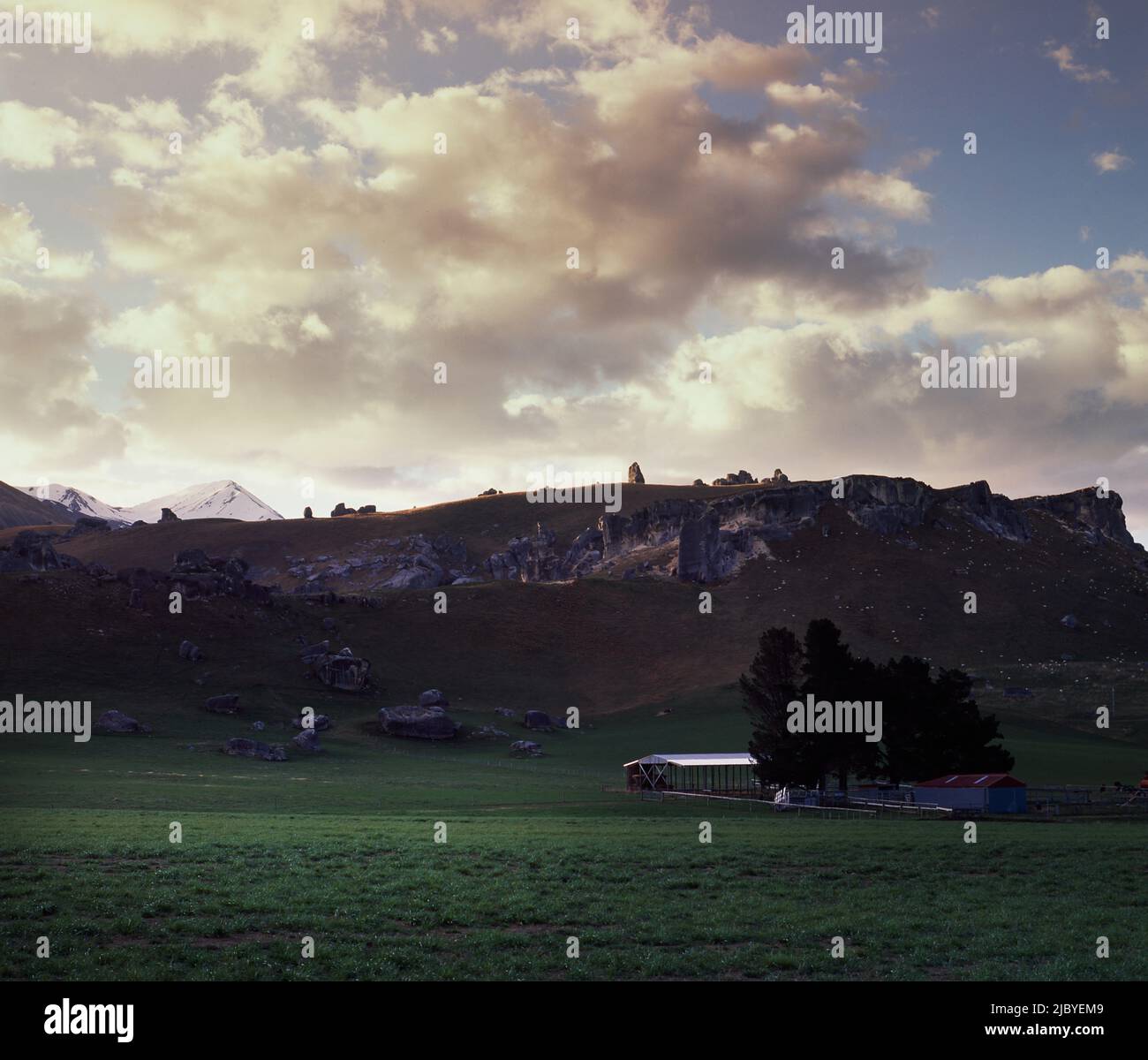Dairy Farm at the base of Castle Rock, South Island, New Zealand Stock