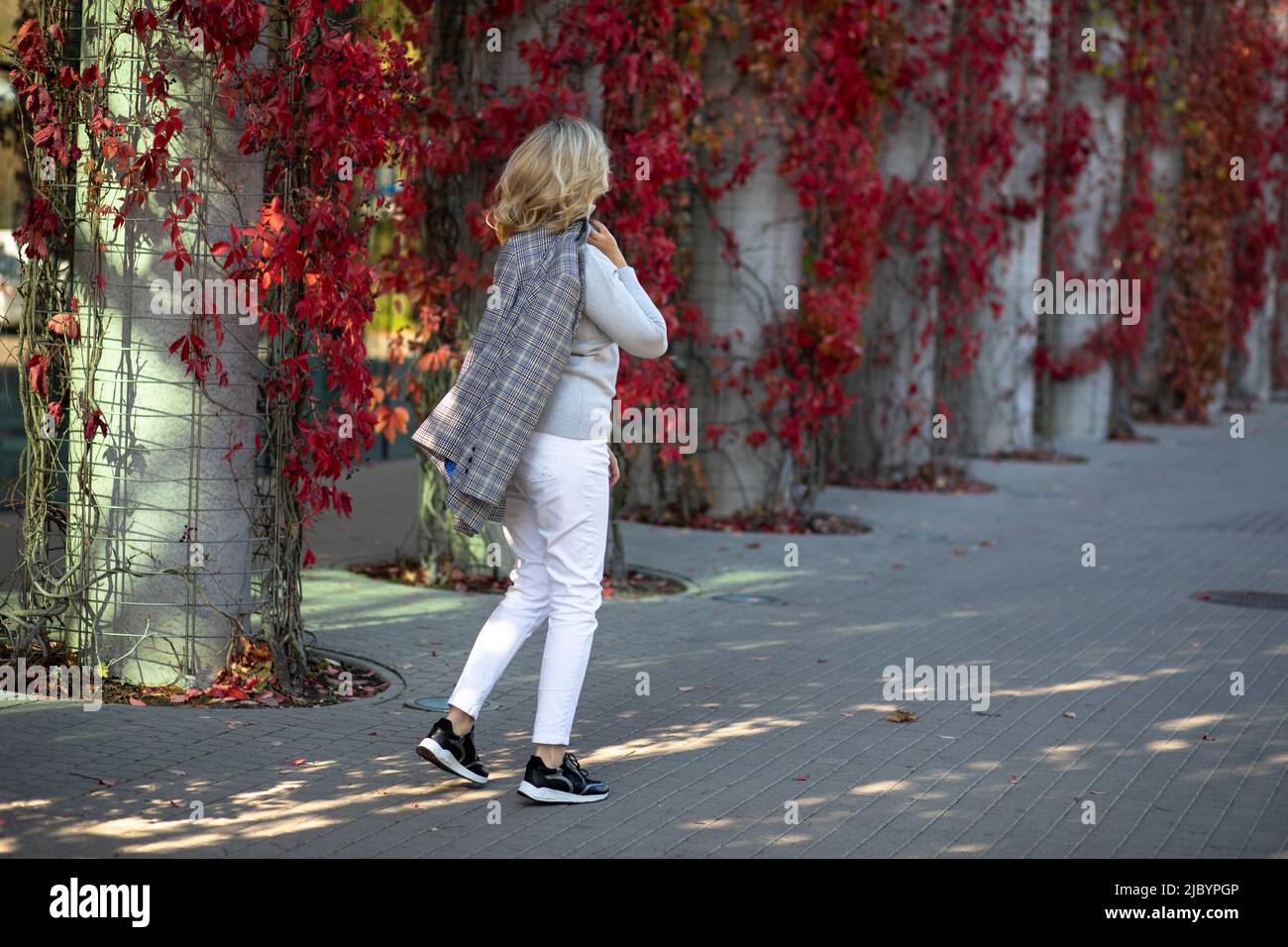 Elegant blonde 35-40 years old in white trousers and jacket walks on foot through autumn city decorated with bright red foliage of overgrown ivy Stock Photo