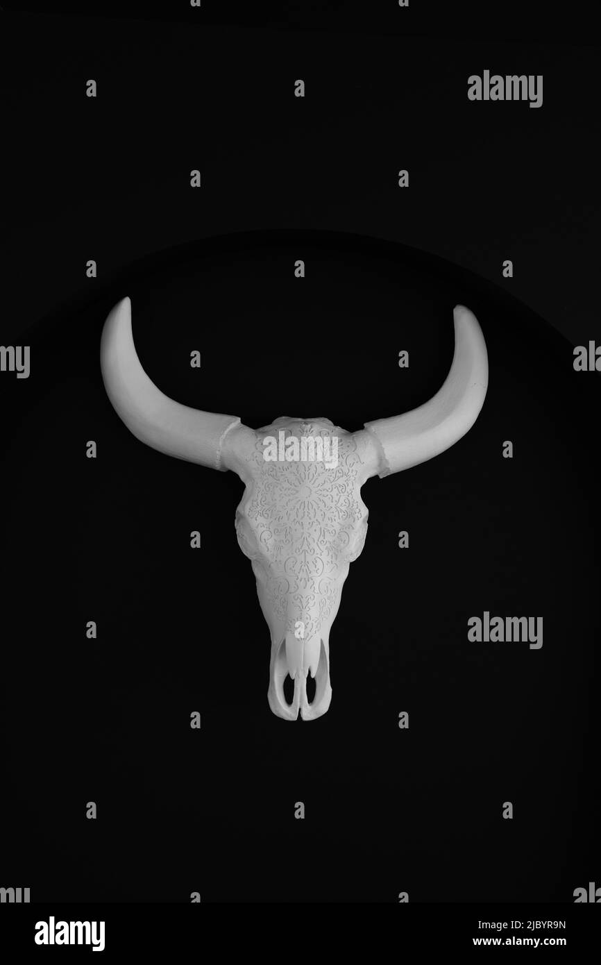 a white skull of a bull hangs on a black wall as decoration Stock Photo