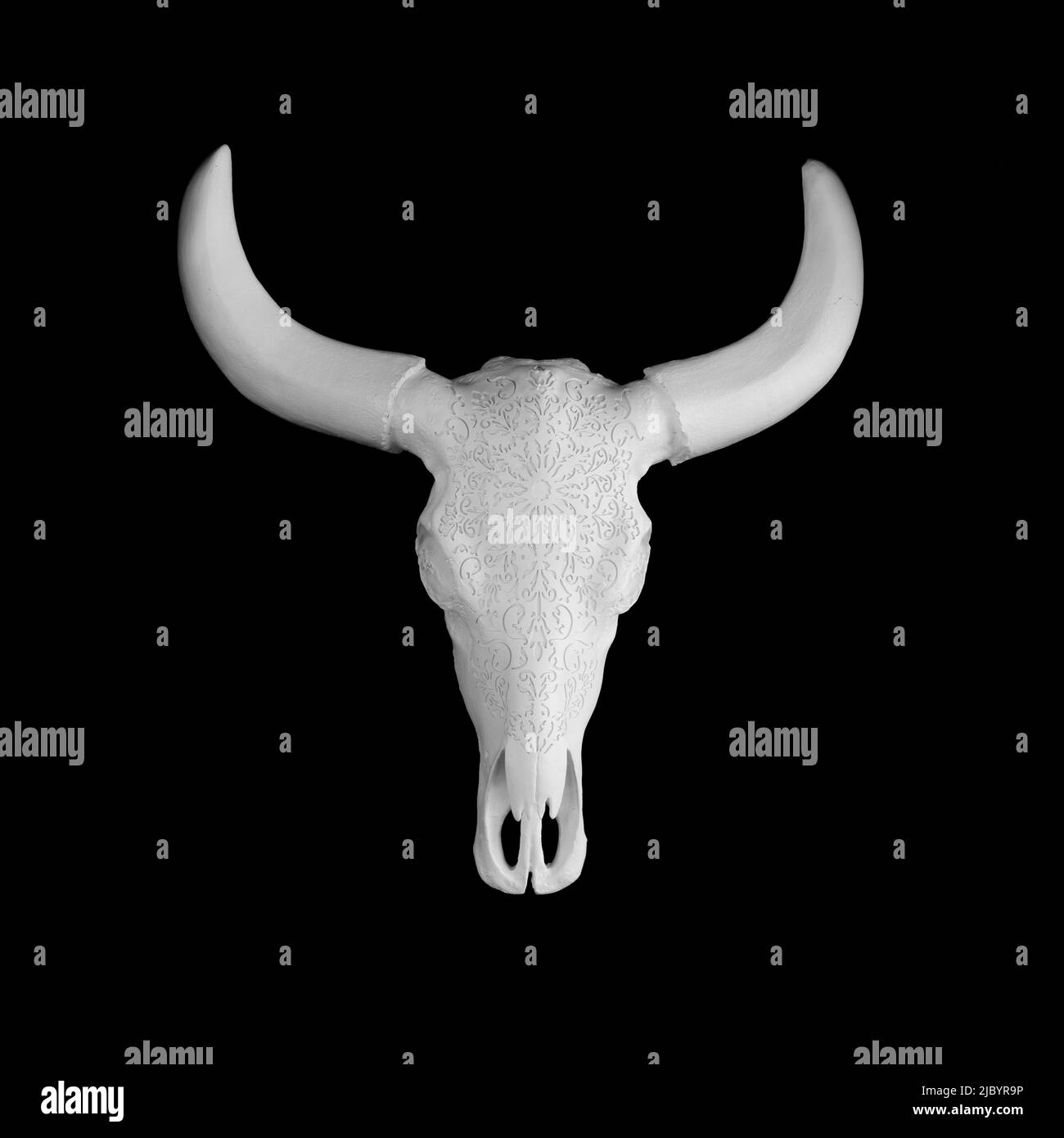 a white skull of a bull hangs on a black wall as decoration Stock Photo
