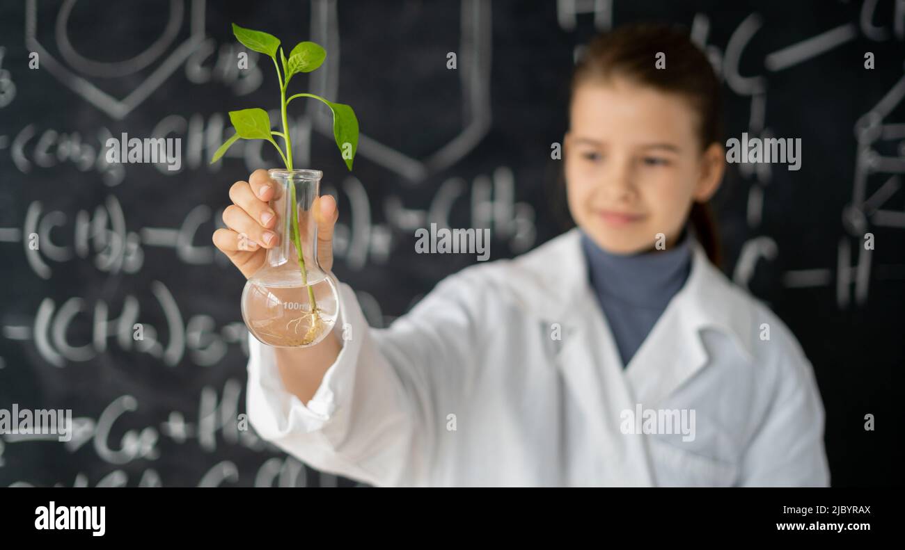Female student scientist examine plant working in genetics laboratory study research, small girl analyze scientific experiments in lab, biotechnology Stock Photo