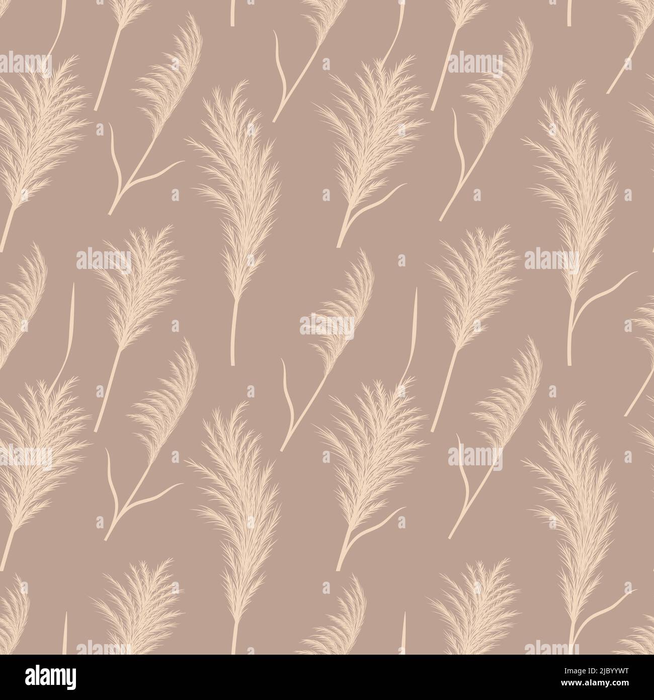 Pampas grass seamless pattern. Vector cortaderia in boho style. Autumn background. Trendy design for wedding, postcards, textile, wallpaper, fabric Stock Vector