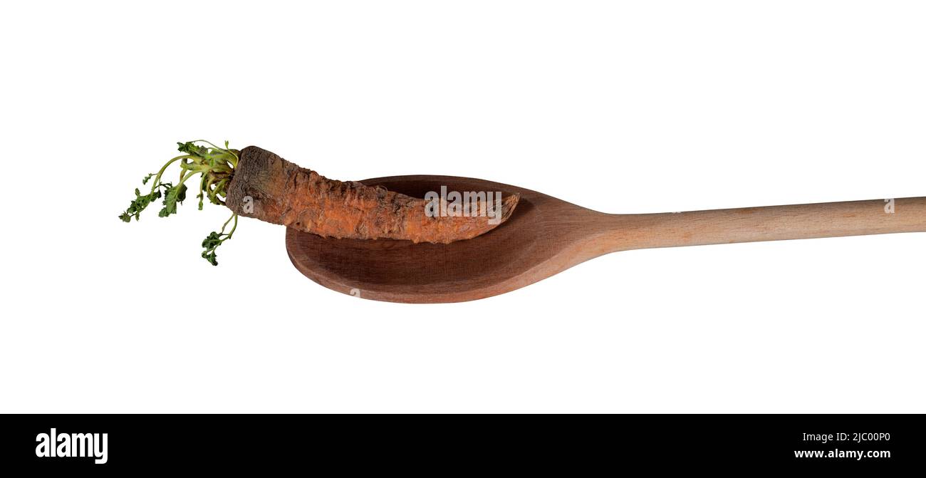 Dry Carrot on Wooden Spoon. Hunger, Ecological, ECO, Harvest, Diet and Healthy Eating Thematic Template Element for Collage or Mockup. File with Clipp Stock Photo