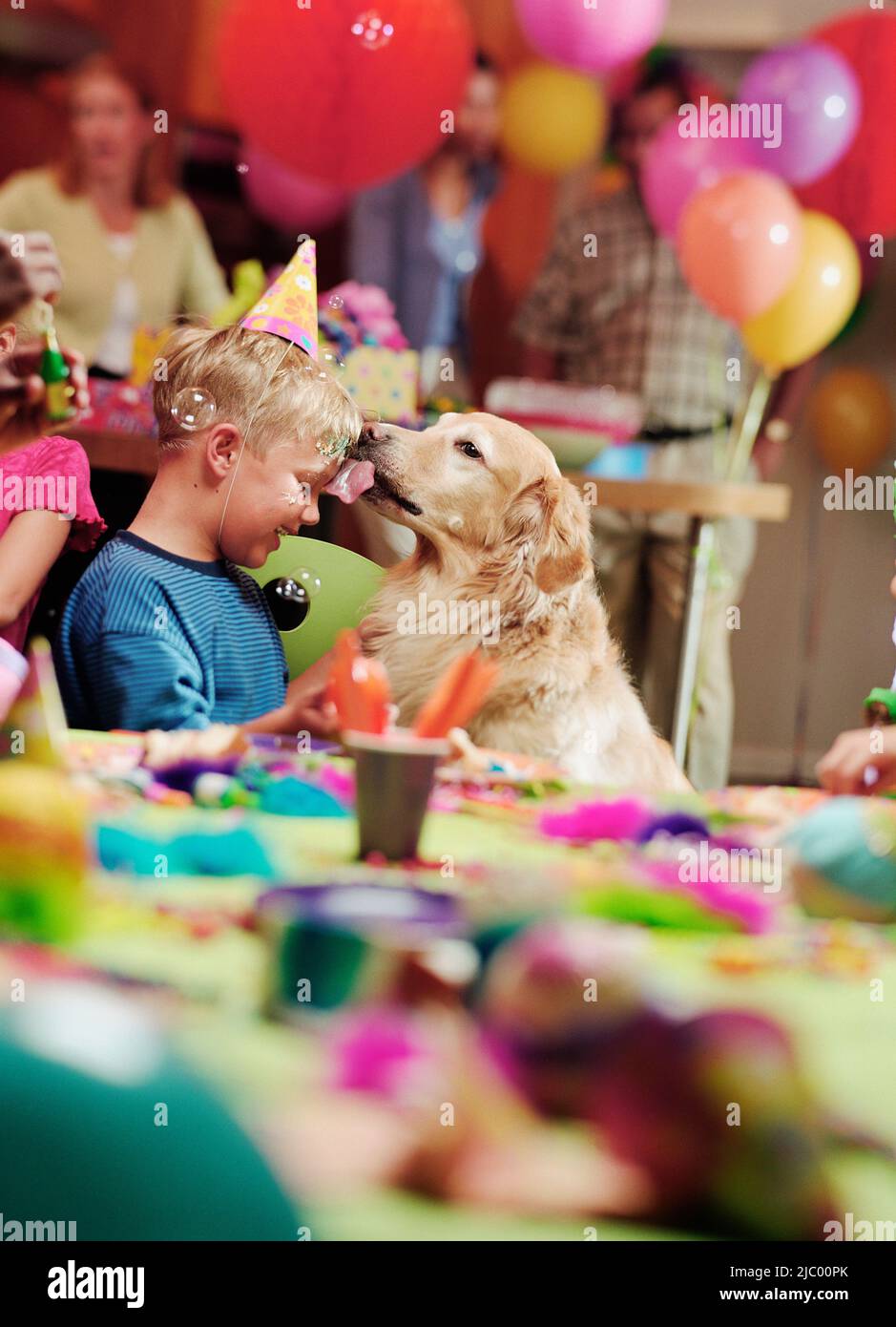 Young boy at birthday party with dog licking his face Stock Photo